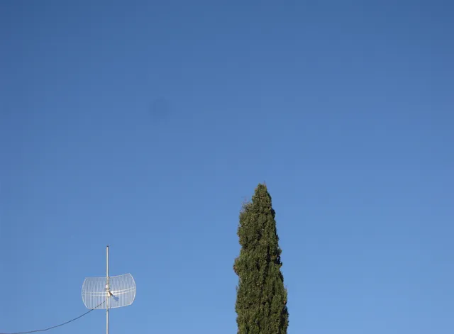 Κεραία τηλεόρασης και η κορυφή κυπαρισσιού προβάλλουν στον καθαρό γαλάζιο ουρανό.